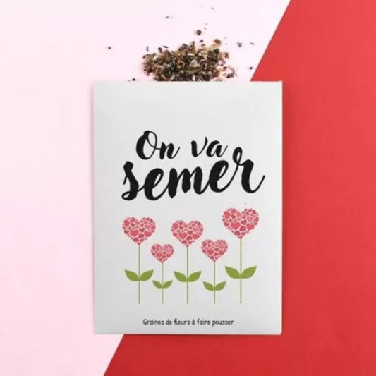Graines - On va semer !