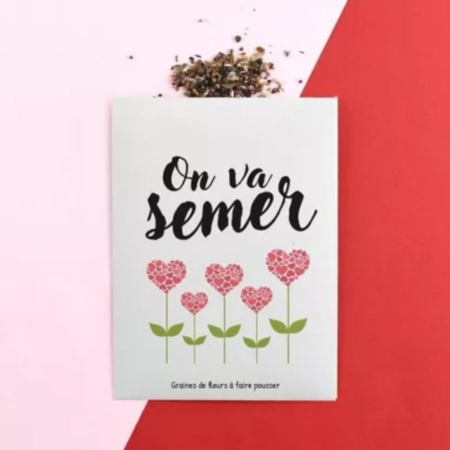 Graines - On va semer !