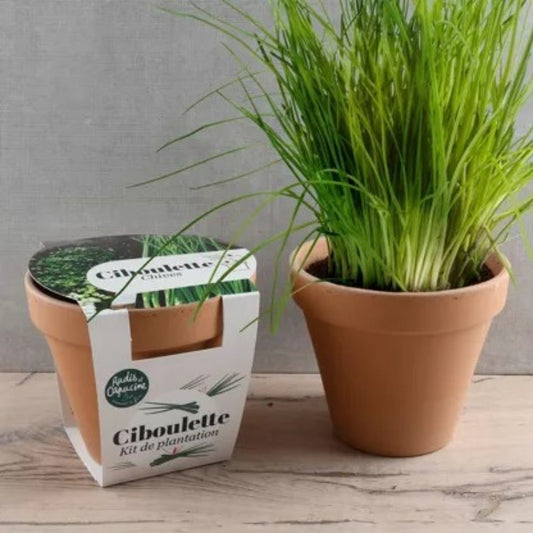 Kit à planter - Ciboulette Bio
