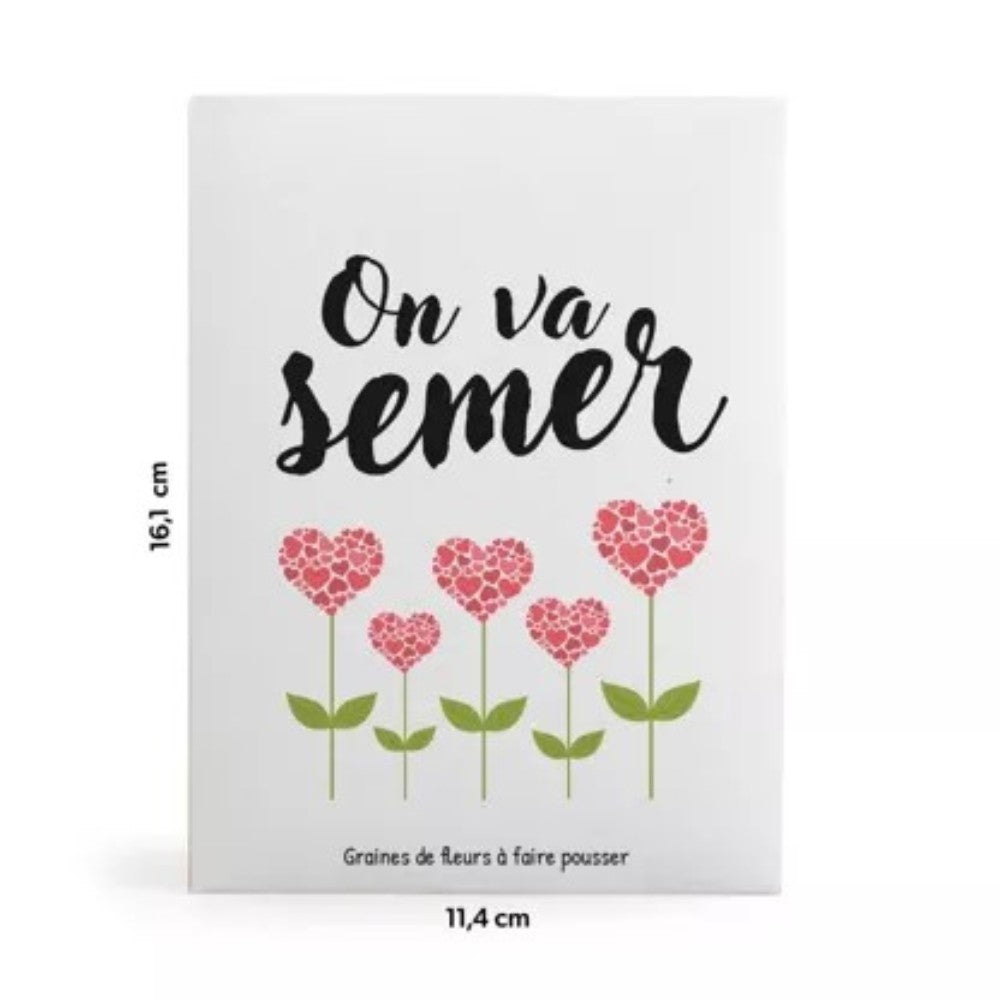 Graines - On va semer !
