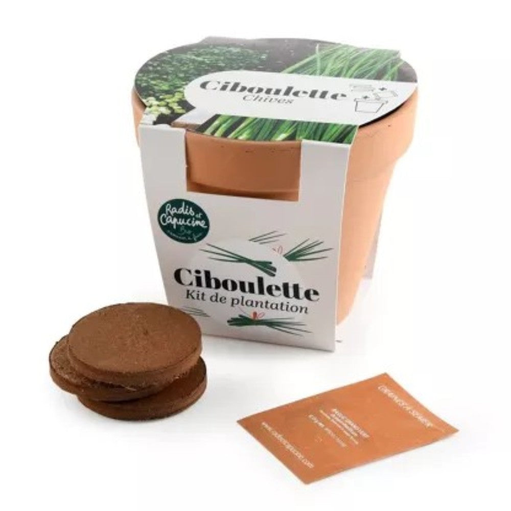Kit à planter - Ciboulette Bio