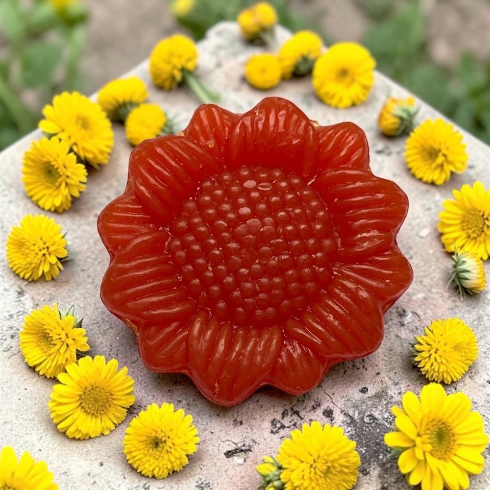 Savon Tournesol