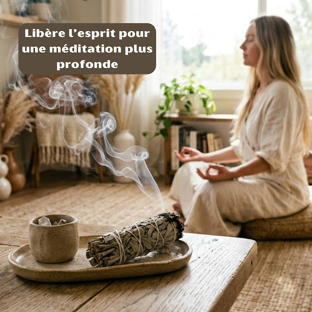 Sauges Blanche