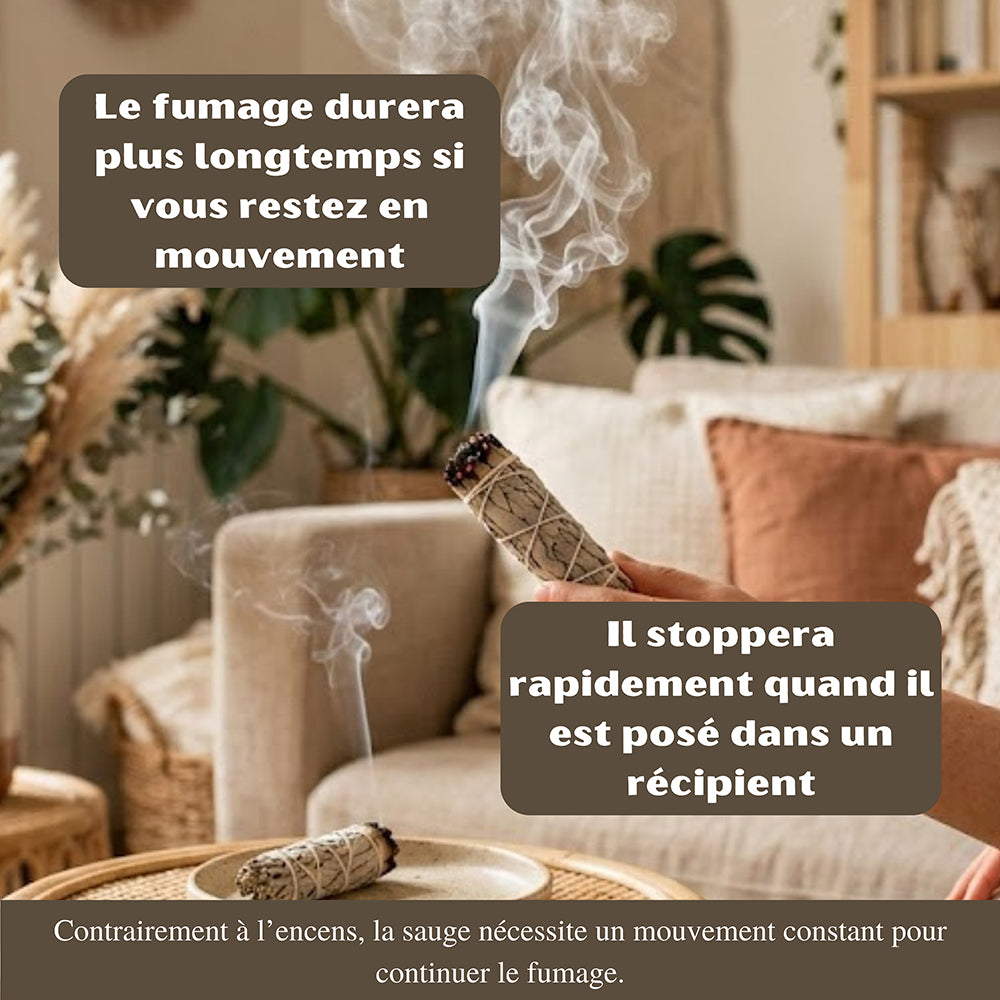 Sauges Blanche