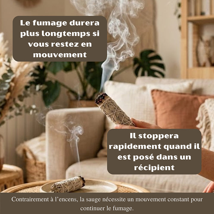 Fagots de sauge blanche à brûler pour rituels bien-être et moments de détente