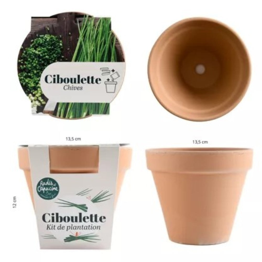 Kit à planter - Ciboulette Bio