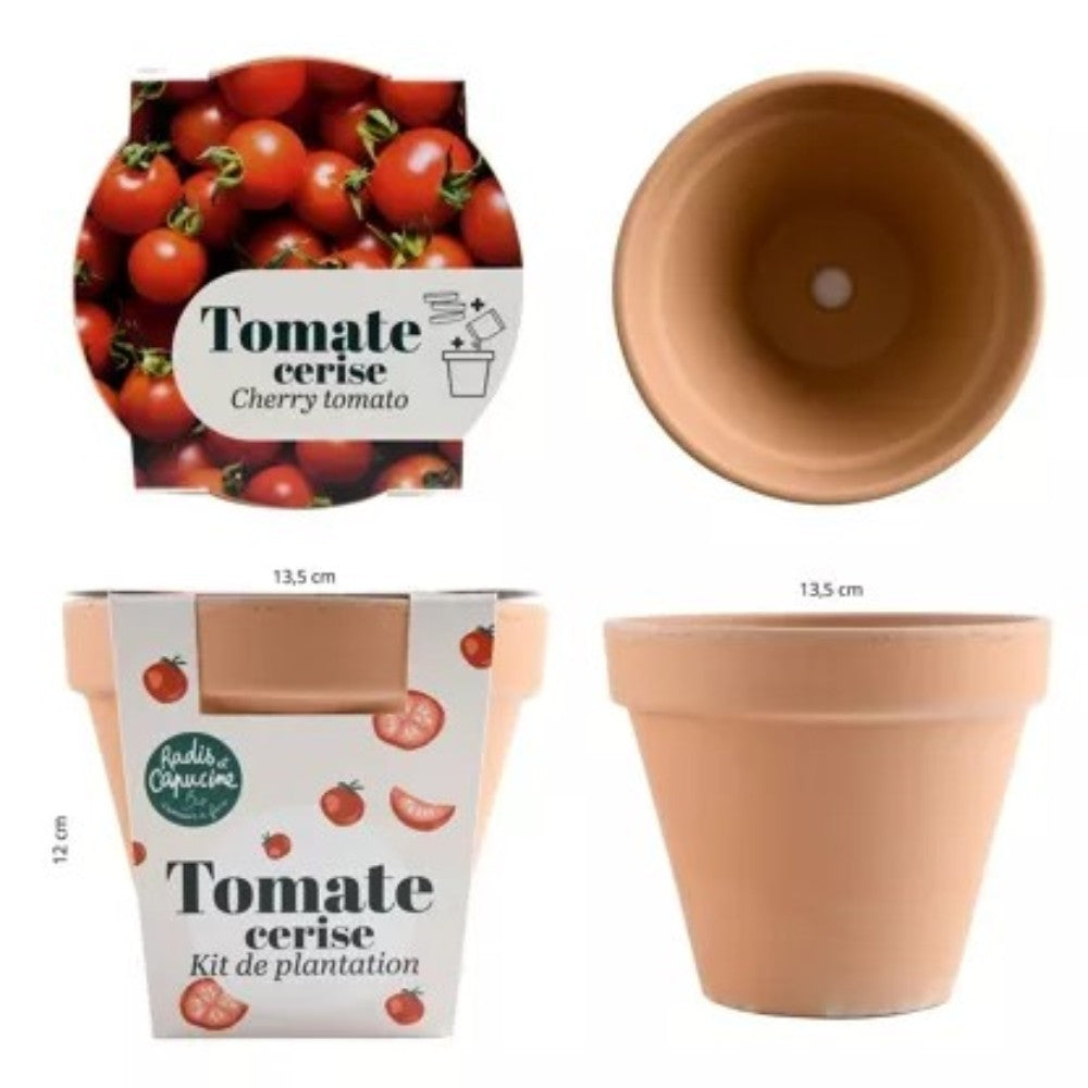 Kit à planter - Tomate cerise Bio