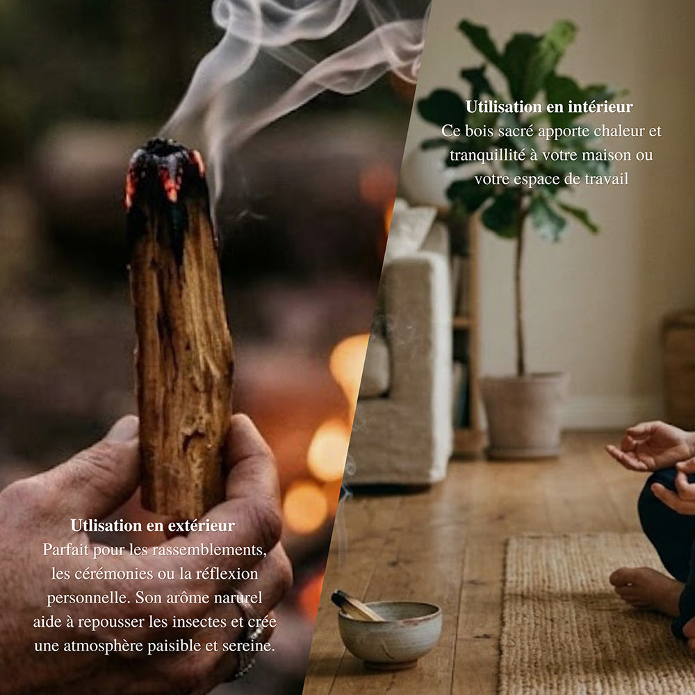 Bois de Palo Santo 50gr