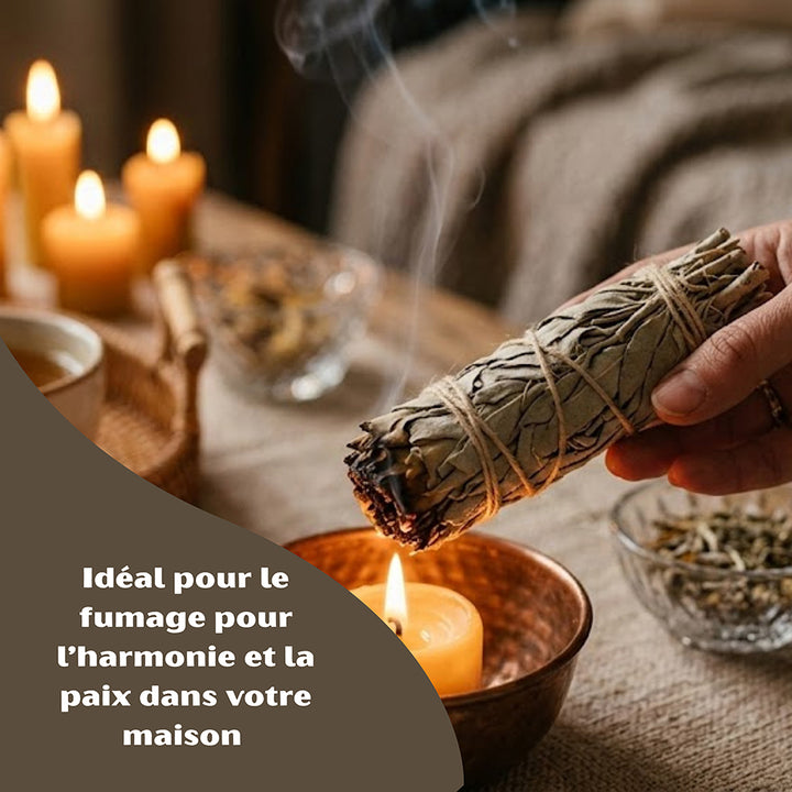 Sauge blanche artisanale à brûler aux notes végétales pour une atmosphère zen