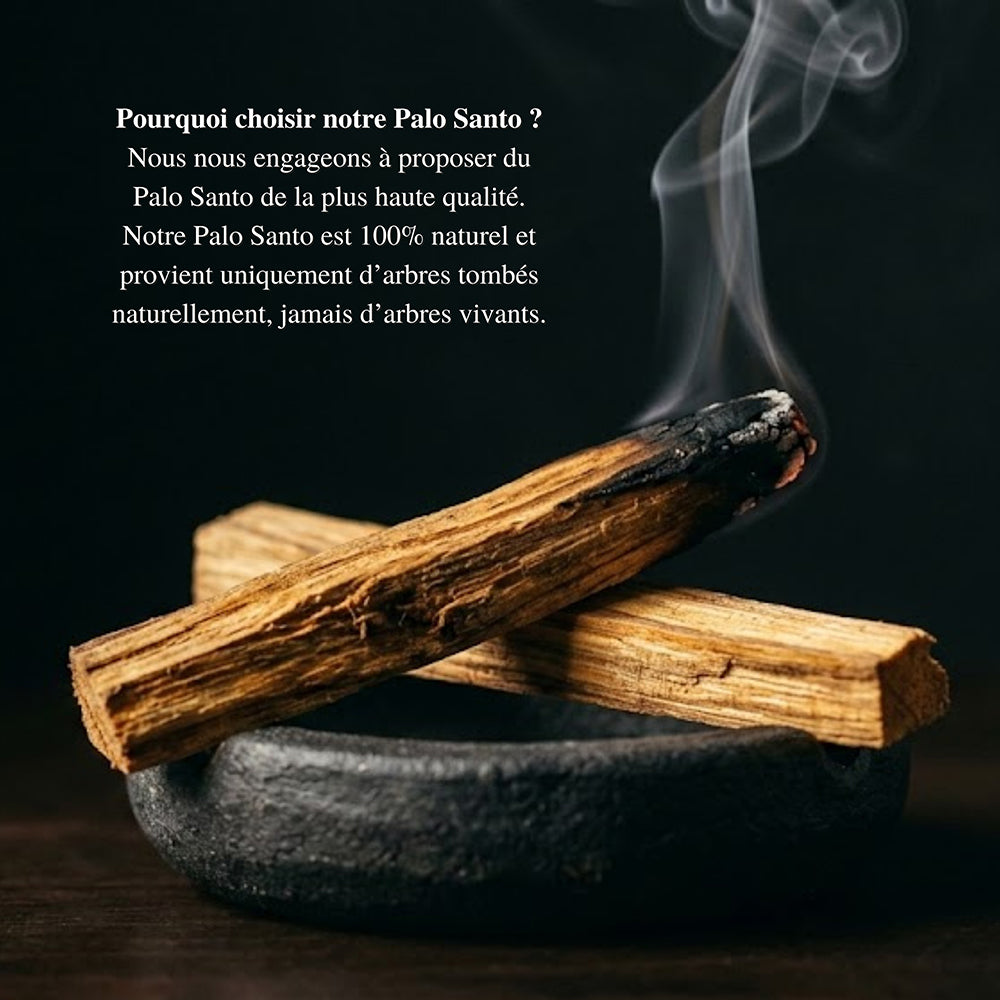 Bois de Palo Santo 50gr