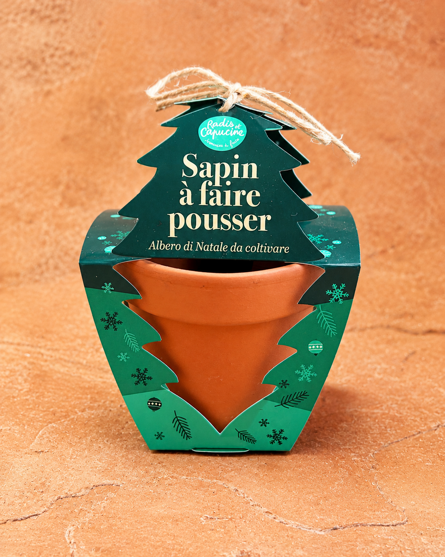 cadeau pour noel et la fin de l'année