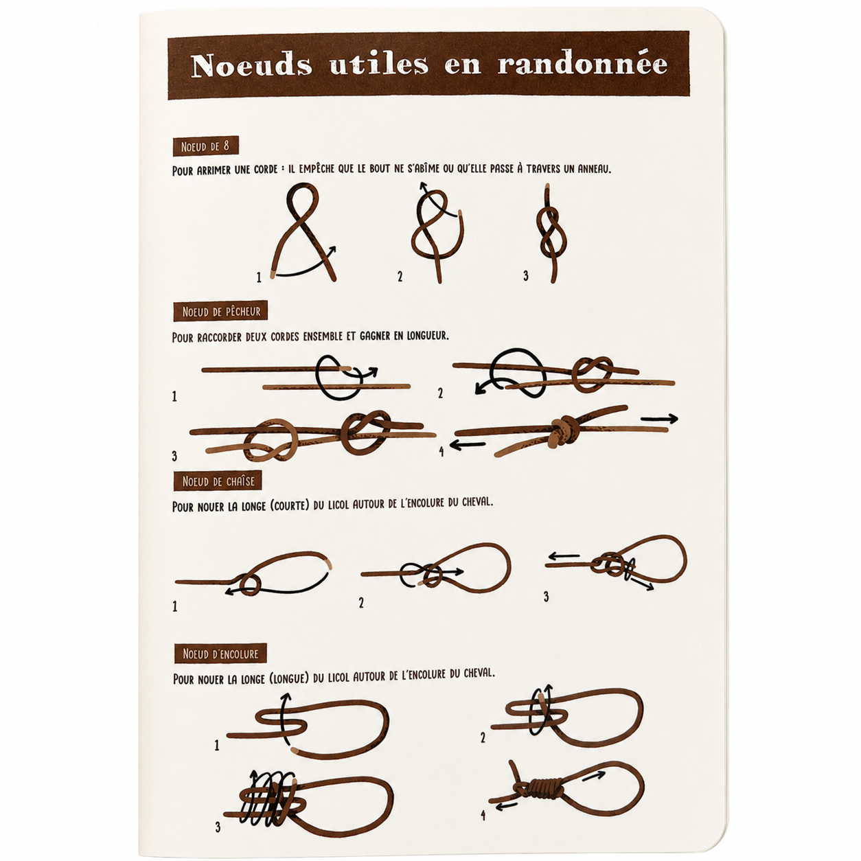 Pages intérieures du carnet d’aventure équestre