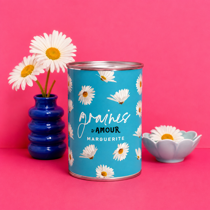 Kit à semer Graines d’Amour avec graines de marguerites françaises